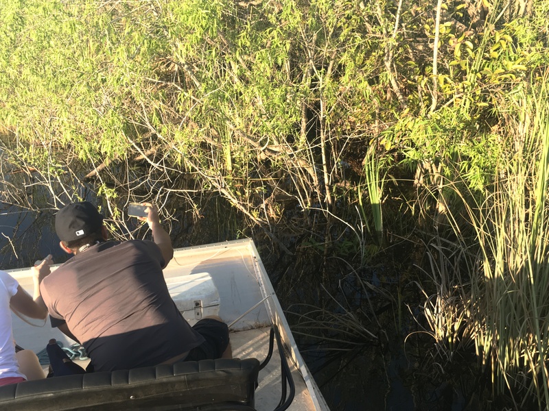 airboat tours miami